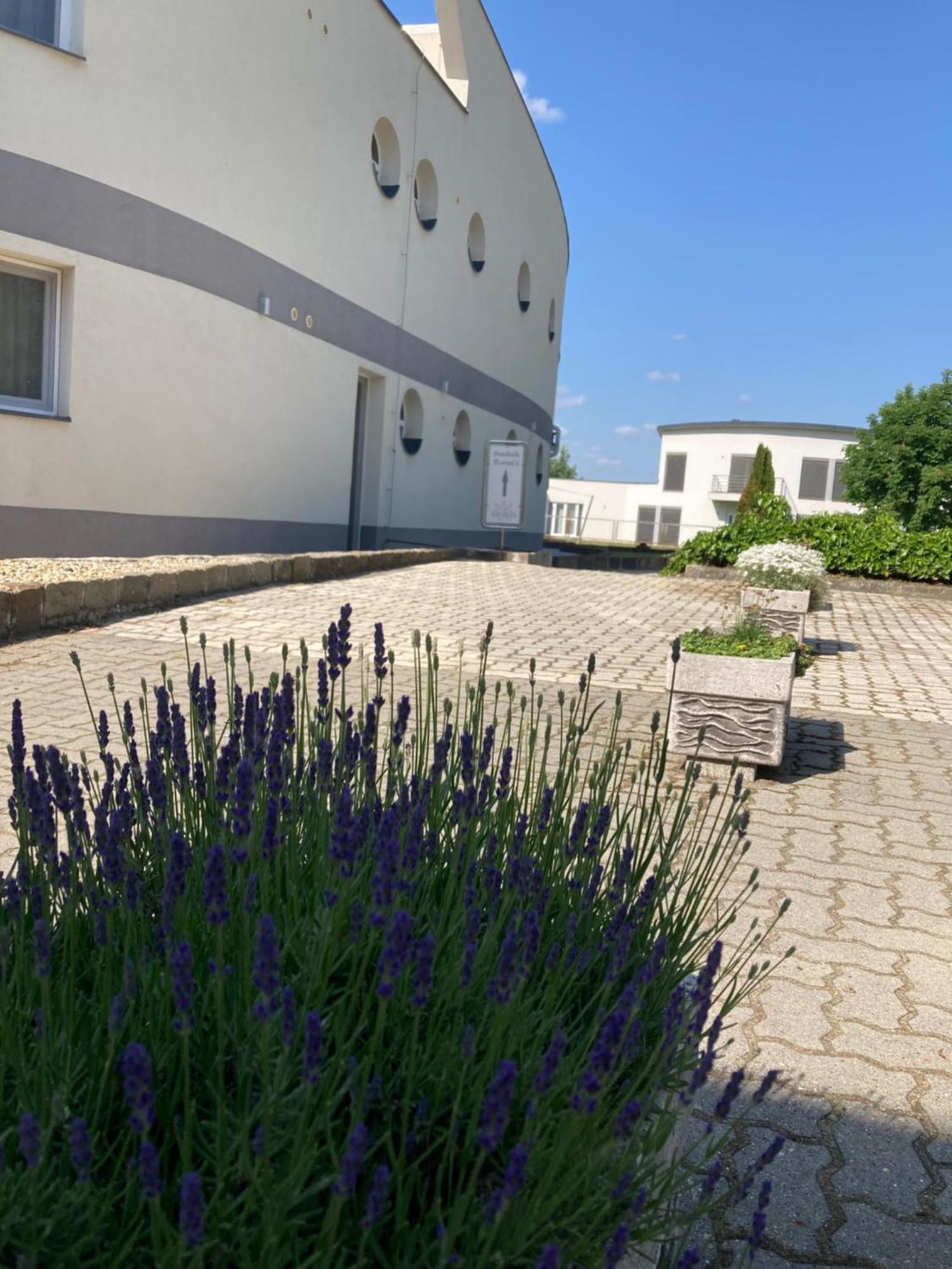 Nautilus Etterem Es Panzio Hotel Dabas Luaran gambar